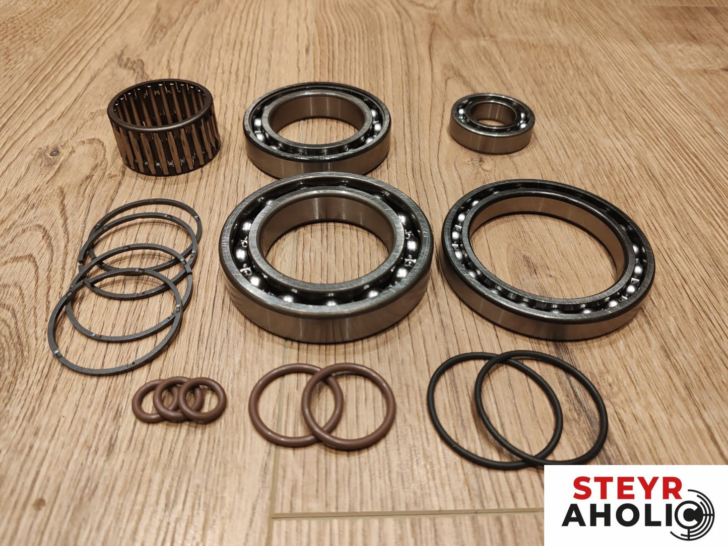 Steyraholic Lager- Dichtungssatz Cartrigde CVT S-Matic