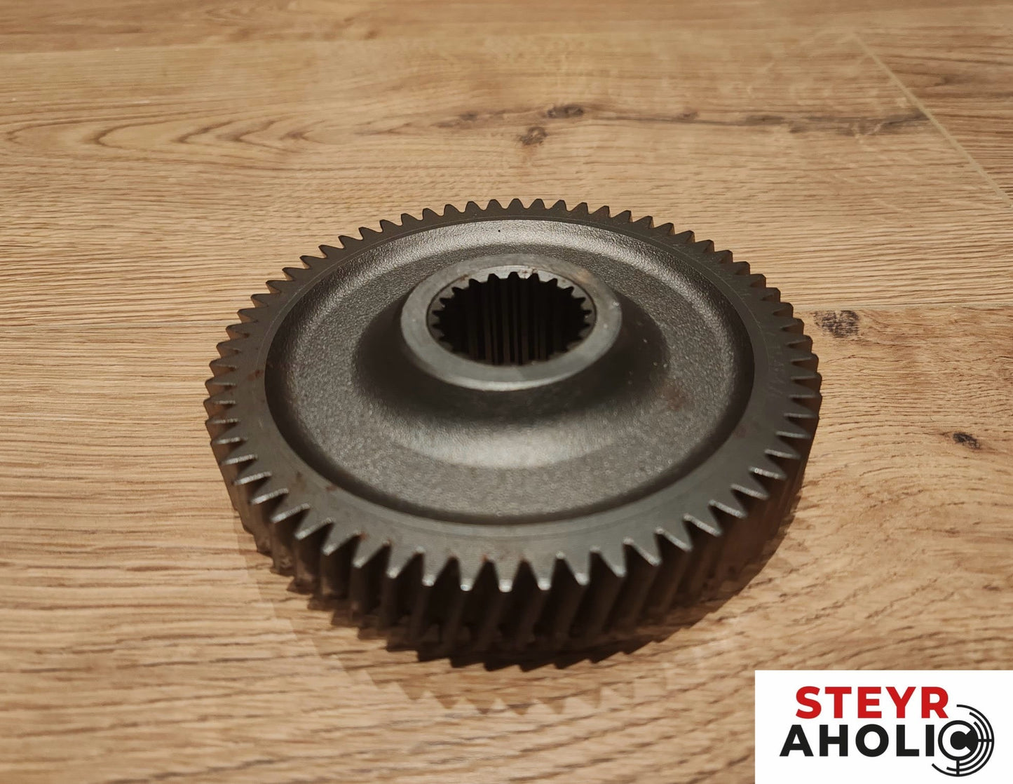 ZF Zahnrad bei Hydrostat 84407933