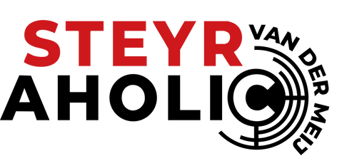 vdmeij-steyraholic
